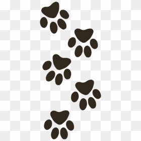 Paw , Png Download - Cat Paw Print, Transparent Png - paw png
