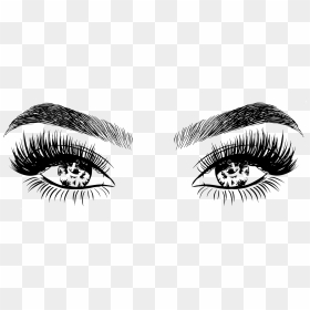 Cartoon Eyebrow Png - Lashes And Brows Png Transparent, Png Download - eyebrow png