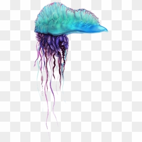 Free Png Blue Bottle Jellyfish Png Pics Png Images - Clipart Portuguese Man O War, Transparent Png - jellyfish png