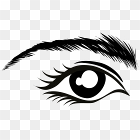 Eye Clip Art, HD Png Download - eyebrow png