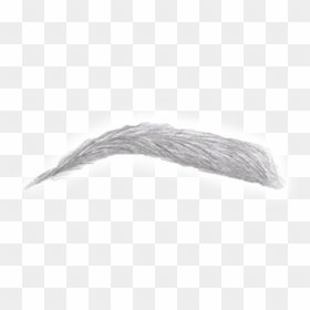 Power Brows - Man White Eyebrows Png, Transparent Png - eyebrow png