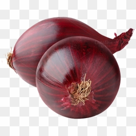 Download Red Onion Png Image - Onion, Transparent Png - onion png