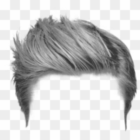 Hq Hair Png Transparent Hair Images - Hair Style For Photoshop, Png Download - eyebrow png