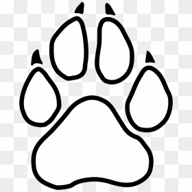 Graphic Of A Little Paw Print - White Paw Print Outline Transparent Background, HD Png Download - paw png