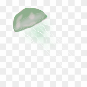 Free Png Jellyfish - Jellyfish, Transparent Png - jellyfish png