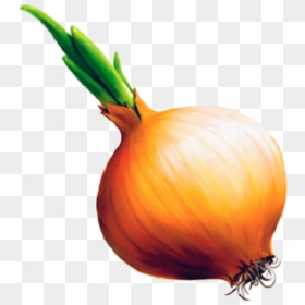 Onion Png Free Download - Onion Png, Transparent Png - onion png