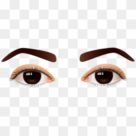 Female Brown Eyes Png Clip Art - Transparent Background Human Eyes Png, Png Download - eyebrows png