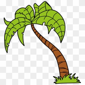 Green Palm Tree Vector - Cartoon Palm Tree Vector, HD Png Download - tree vector png