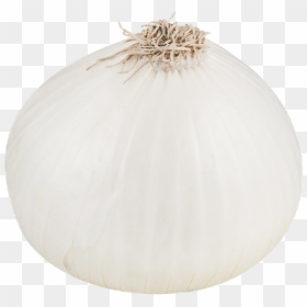 Thumb Image - White Onion Transparent Background, HD Png Download - onion png