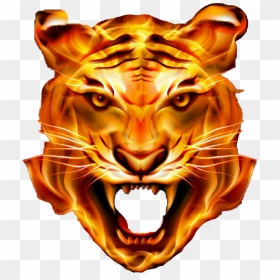 Thumb Image - Angry Tiger Face Png, Transparent Png - lion head png