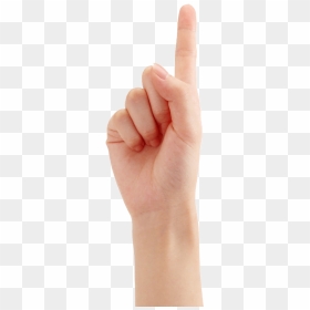 Fingers Png Transparent Background - Many Hands Pointing Up Stock, Png Download - pointing finger png