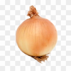 Onion , Png Download - Onion Png, Transparent Png - onion png