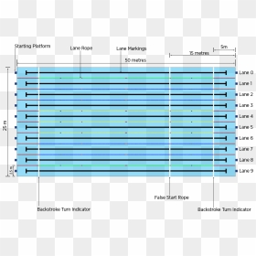 Transparent Pool Png - Measurement Of Swimming Pool, Png Download - pool png