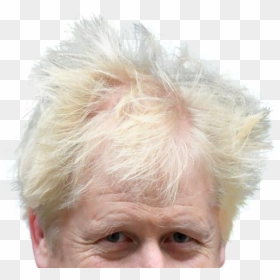 Boris Johnson Head Transparent, HD Png Download - eyebrow png