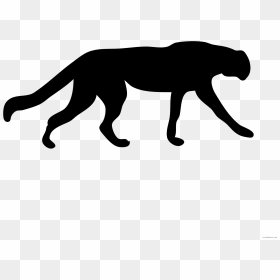 Vector Transparent Stock Cheetah Black And White Clipart - Black Panther Cartoon Png, Png Download - animals png
