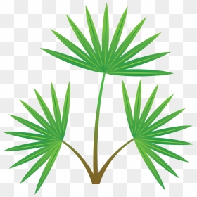 Palm Tree Section, HD Png Download - palm leaf png