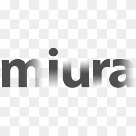 Miura Grey - Graphic Design, HD Png Download - filigree png