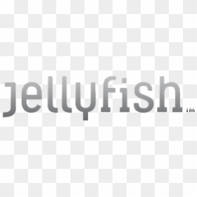 Jellyfish, HD Png Download - jellyfish png