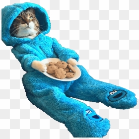 Transparent Plate Of Cookies Png - Cookie Monster Cat, Png Download - cookie monster png