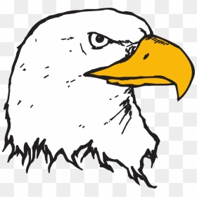 Bald Eagle Head Clipart - Cara Menggambar Mata Burung Elang, HD Png Download - bald eagle png