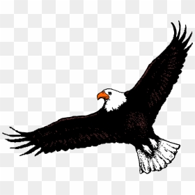 Bald Eagle Clipart Soaring Eagle - Flying Eagle Clip Art, HD Png Download - bald eagle png