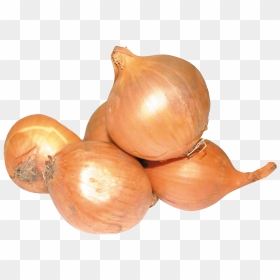 Onion - Yellow Onion, HD Png Download - onion png