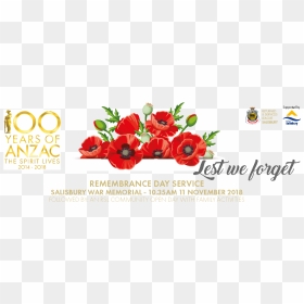 Remembrance Day Service And Rsl Community Open Day - 100 Years Of Anzac, HD Png Download - memorial day png