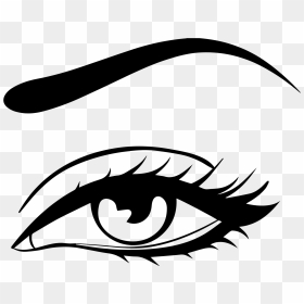 Collection Of Free Eyelashes Drawing Eyebrow Download - Lashes And Brows Vector Png, Transparent Png - eyebrow png