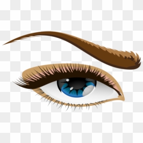 Eyelash,brown,eye - Eye Clip Art, HD Png Download - eyebrow png