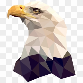 Geo Bald Eagle, HD Png Download - bald eagle png