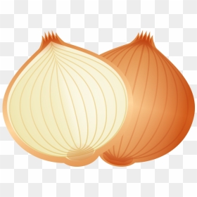 Cartoon Food Onion Png Download - Onion Cartoon Png, Transparent Png - onion png