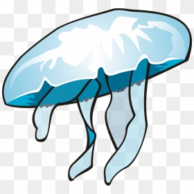 Jellyfish Ocean Clip Art - Dikya Clipart, HD Png Download - jellyfish png