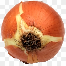 Onion-2 - Red Onion, HD Png Download - onion png