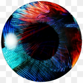 Eye Lens Png - Eye Lens Picsart Png, Transparent Png - png for picsart
