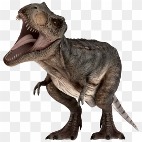 Twitter Png Transparent Images Png All,twitter Logo - Dinossauro Jurassic Park Png, Png Download - twitter.png