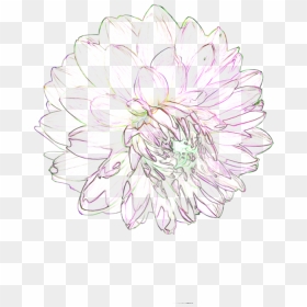 Thumb Image - Chrysanths, HD Png Download - white flower png