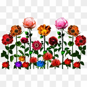 Flower Design - Garden Roses, HD Png Download - png flowers vectors