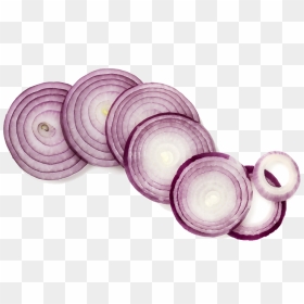 Onion Sliced Transparent Png , Png Download - Transparent Background Onion Png, Png Download - onion png