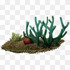 Estonian Museum Of Natural History, HD Png Download - animals png