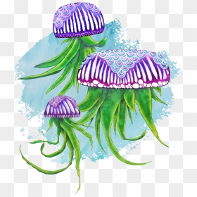Illustration, HD Png Download - jellyfish png