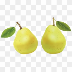 Pear Png Image - Watercolor Pear Clipart, Transparent Png - pear png