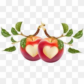 Heart-shaped Apple Vector 7389*3756 Transprent Png - Heart Shaped Apple, Transparent Png - heart shape png