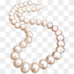 Pearl Necklace Jewellery Pearl Necklace - Free Transparent Png Pearl Necklace, Png Download - pearl png
