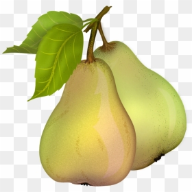 Pear Free Download Png - Transparent Background Pears Clipart, Png Download - pear png