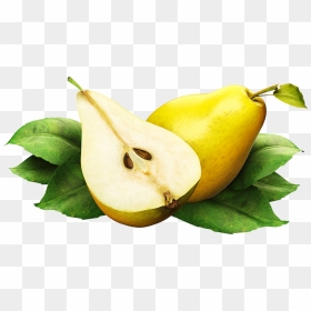 Download Pear Png Image - Pear Png Transparent, Png Download - pear png