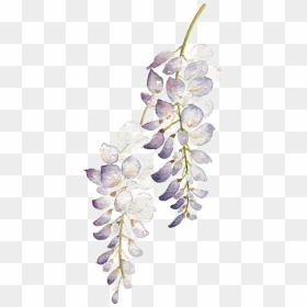 Watercolor Flower Purple Png, Transparent Png - purple flowers png