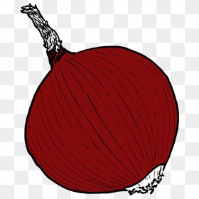 Single Onion Png Image Clipart , Png Download, Transparent Png - onion png