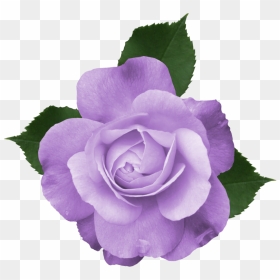 Purple Flower Clipart Transparent Background Png Library, Png Download - purple flowers png