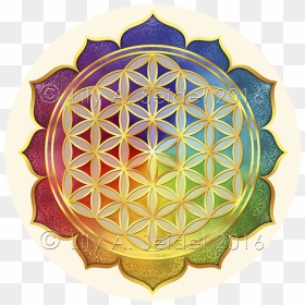 Sacred Geometry Overlapping Circles Grid Nelumbo Nucifera - Free Clip Art Logo Sacred Geometry, HD Png Download - flower of life png