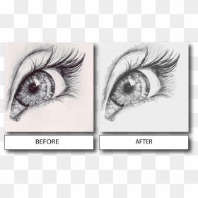 I Will Vector Trace Your Drawing - Drawn Eyes To Trace, HD Png Download - eyebrow png